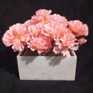 Carnation Floral Box Arrangement